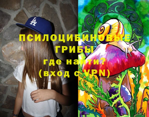 PSILOCYBIN Абдулино